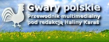 Gwary polskie. Przewodnik multimedialny 