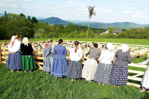 Na bacówce w Przybędzy - mieszanie owiec - zdjęcie15