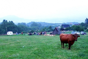 Zielone Świątki na Bacówce w Przybędzy - zdjęcie2