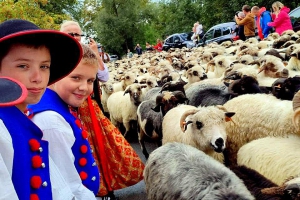 Z rewizytą u Zawaternika - zdjęcie7