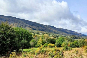 Nasza wyprawa w Bieszczady - zdjęcie2