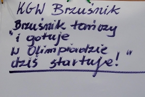 FITOLIMPIADA - Przybędza wiosna 2024 - zdjęcie95