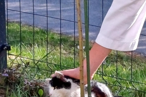 Majówka z 