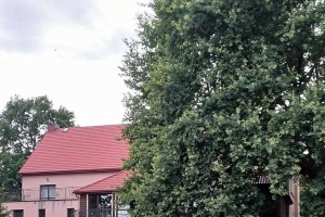 W Pacanowie Kozy kują - zdjęcie59