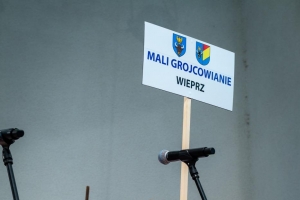 IV Dzień Folkloru Dziecięcego 2025 r - zdjęcie176