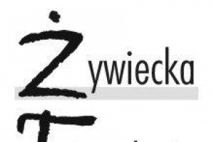 Parafiada 2008 w Wieluniu - zdjęcie3
