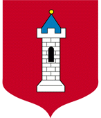 Parafiada 2008 w Wieluniu