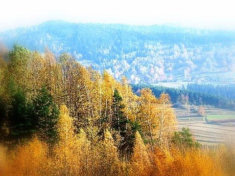 Stosunki gospodarcze i kulturalne na dawnej Żywiecczyźnie