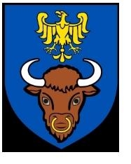 Dziś startuje MSF w Żywcu
