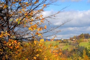 Redyk w Korbielowie - zdjęcie14